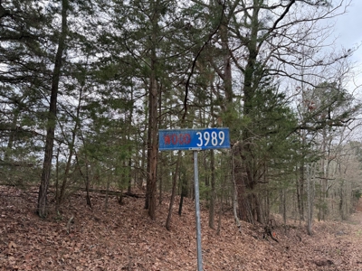 Winnsboro, TX -  Wood County - East Texas Wooded Land for Sale - image 16