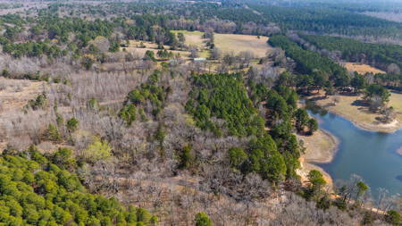 Winnsboro, TX -  Wood County - East Texas Wooded Land for Sale - image 5