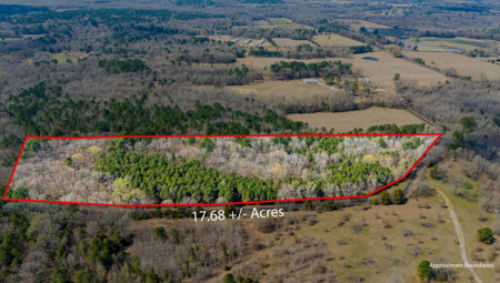 Winnsboro, TX -  Wood County - East Texas Wooded Land for Sale - image 11