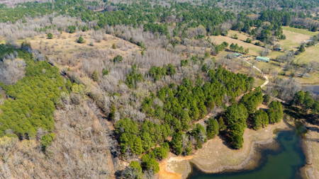 Winnsboro, TX -  Wood County - East Texas Wooded Land for Sale - image 10
