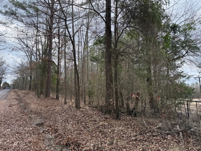 Winnsboro, TX -  Wood County - East Texas Wooded Land for Sale - image 22