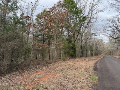 Winnsboro, TX -  Wood County - East Texas Wooded Land for Sale - image 21