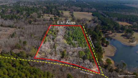 Winnsboro, TX -  Wood County - East Texas Wooded Land for Sale - image 4