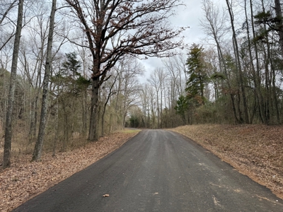 Winnsboro, TX -  Wood County - East Texas Wooded Land for Sale - image 18