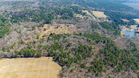 Winnsboro, TX -  Wood County - East Texas Wooded Land for Sale - image 7