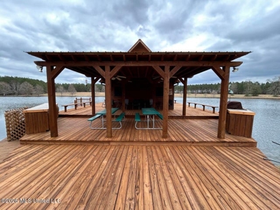 Osyka, MS 100± Acre Gated Estate with Lake & Home - image 17