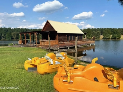 Osyka, MS 100± Acre Gated Estate with Lake & Home - image 47