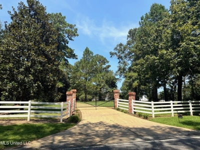 Osyka, MS 100± Acre Gated Estate with Lake & Home - image 20