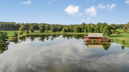 Osyka, MS 100± Acre Gated Estate with Lake & Home - image 4