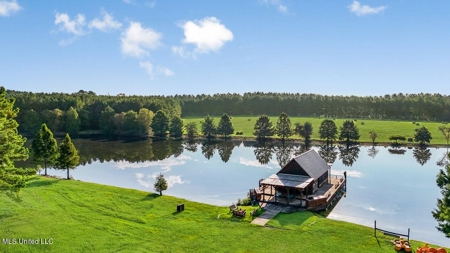 Osyka, MS 100± Acre Gated Estate with Lake & Home - image 1