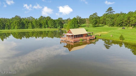 Osyka, MS 100± Acre Gated Estate with Lake & Home - image 5