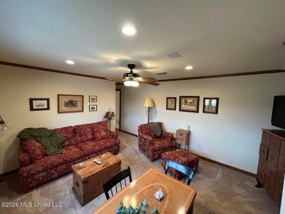 Osyka, MS 100± Acre Gated Estate with Lake & Home - image 7