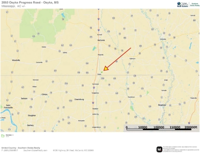 Osyka, MS 100± Acre Gated Estate with Lake & Home - image 49