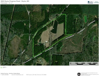 Osyka, MS 100± Acre Gated Estate with Lake & Home - image 50