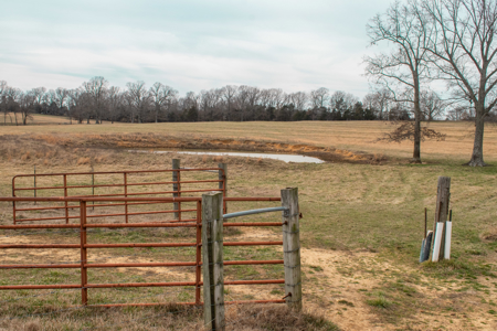 Land For Sale In The Arkansas Ozarks - image 4