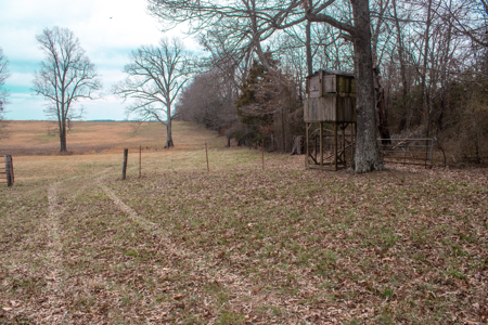 Land For Sale In The Arkansas Ozarks - image 3