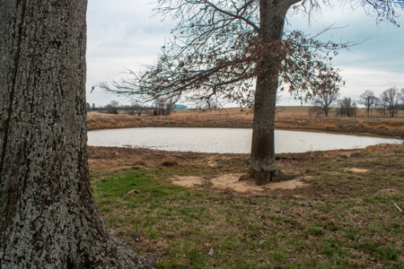 Land For Sale In The Arkansas Ozarks - image 5