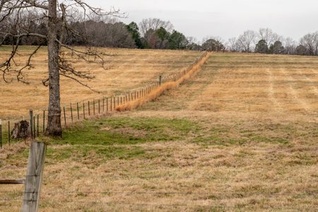 Land For Sale In The Arkansas Ozarks - image 6