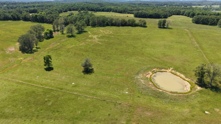 Land For Sale In The Arkansas Ozarks - image 3