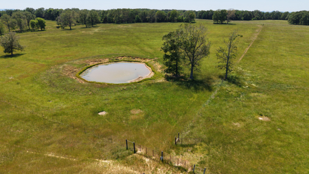 Land For Sale In The Arkansas Ozarks - image 2