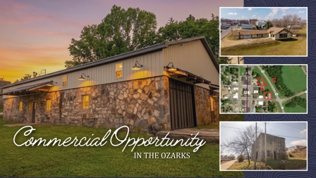 Commercial Property for sale in Alton Missouri | 5 Parcels - image 1