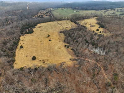 The Perfect Mix: Open Ground, Woods & Water on 57 Acres - image 11