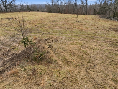 The Perfect Mix: Open Ground, Woods & Water on 57 Acres - image 6