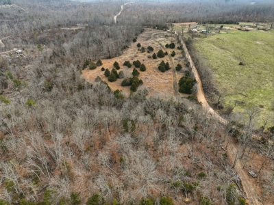 The Perfect Mix: Open Ground, Woods & Water on 57 Acres - image 14