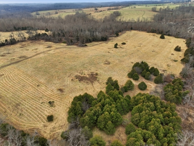 The Perfect Mix: Open Ground, Woods & Water on 57 Acres - image 17