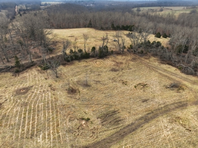 The Perfect Mix: Open Ground, Woods & Water on 57 Acres - image 19