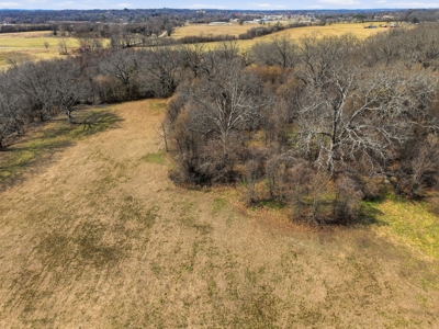 The Perfect Mix: Open Ground, Woods & Water on 57 Acres - image 2