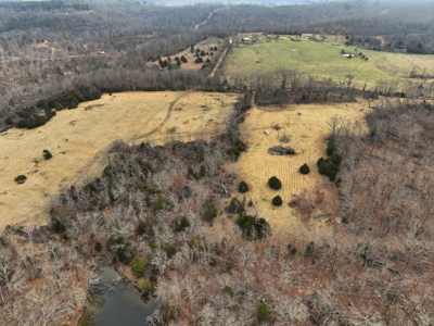 The Perfect Mix: Open Ground, Woods & Water on 57 Acres - image 12
