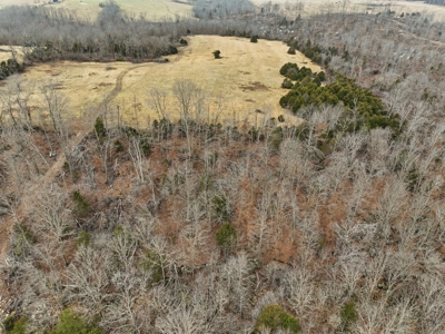 The Perfect Mix: Open Ground, Woods & Water on 57 Acres - image 15