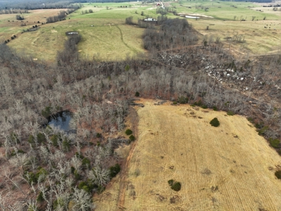 The Perfect Mix: Open Ground, Woods & Water on 57 Acres - image 10