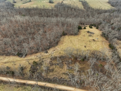 The Perfect Mix: Open Ground, Woods & Water on 57 Acres - image 8