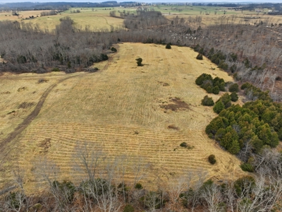 The Perfect Mix: Open Ground, Woods & Water on 57 Acres - image 16