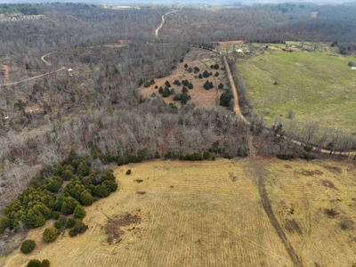 The Perfect Mix: Open Ground, Woods & Water on 57 Acres - image 13
