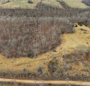 The Perfect Mix: Open Ground, Woods & Water on 57 Acres - image 7