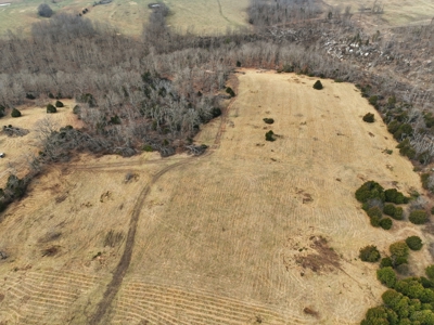 The Perfect Mix: Open Ground, Woods & Water on 57 Acres - image 9
