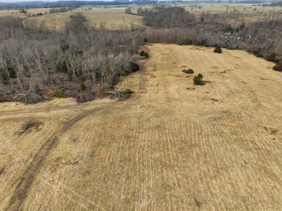 The Perfect Mix: Open Ground, Woods & Water on 57 Acres - image 21