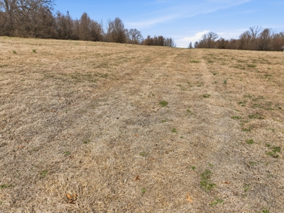 The Perfect Mix: Open Ground, Woods & Water on 57 Acres - image 5