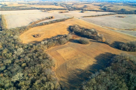 40± Acres | Income-Producing Farm with Hunting & Build Potential - image 10