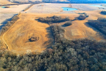 40± Acres | Income-Producing Farm with Hunting & Build Potential - image 8