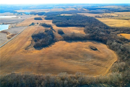40± Acres | Income-Producing Farm with Hunting & Build Potential - image 6