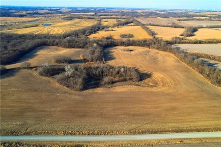 40± Acres | Income-Producing Farm with Hunting & Build Potential - image 17