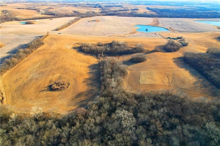 40± Acres | Income-Producing Farm with Hunting & Build Potential - image 9