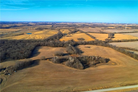 40± Acres | Income-Producing Farm with Hunting & Build Potential - image 14