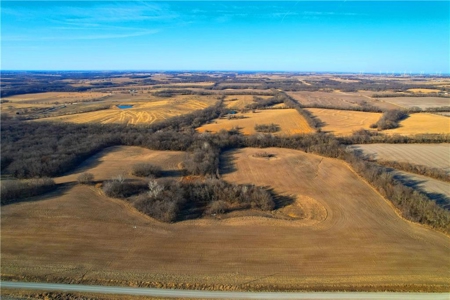 40± Acres | Income-Producing Farm with Hunting & Build Potential - image 15
