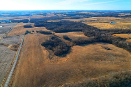 40± Acres | Income-Producing Farm with Hunting & Build Potential - image 5