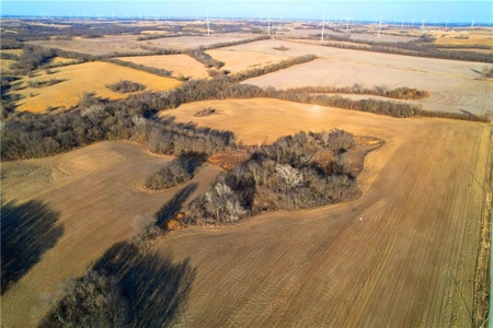 40± Acres | Income-Producing Farm with Hunting & Build Potential - image 2